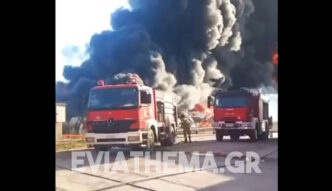 Εύβοια: Μεγάλη φωτιά σε εργοστάσιο πλαστικών στην Αυλίδα (ΦΩΤΟ - ΒΙΝΤΕΟ)