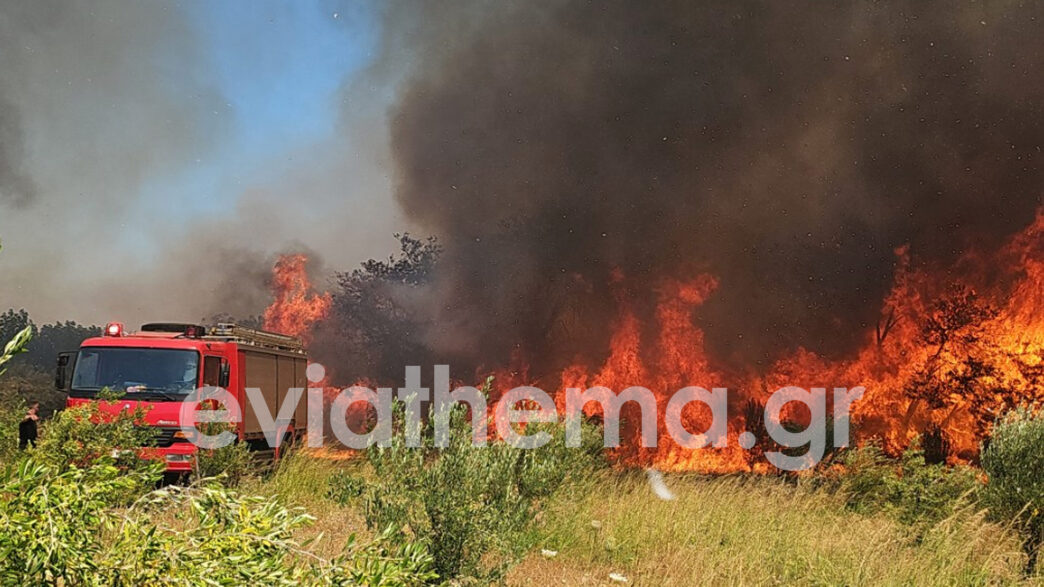 Συναγερμός στην Εύβοια: Μεγάλη πυρκαγιά σε αγροτική έκταση στο Αλιβέρι (ΦΩΤΟ)