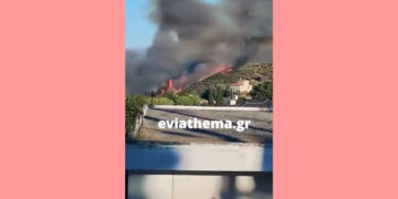 Μεγάλη πυρκαγιά στα Μεσοχώρια Ευβοίας: Ισχυρές επίγειες και εναέριες δυνάμεις στη μάχη με τις φλόγες
