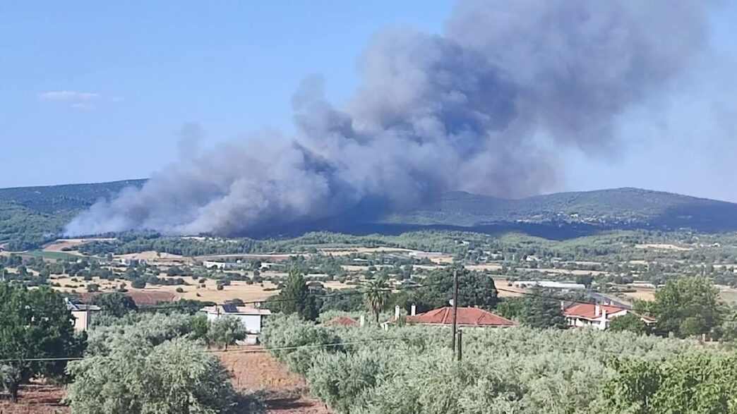Μεγάλη πυρκαγιά σε αγροτοδασική έκταση στον Ωρωπό – Επιστρατεύτηκαν επίγειες και εναέριες δυνάμεις