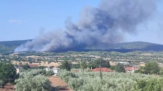 Μεγάλη πυρκαγιά σε αγροτοδασική έκταση στον Ωρωπό – Επιστρατεύτηκαν επίγειες και εναέριες δυνάμεις