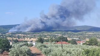 Μεγάλη πυρκαγιά σε αγροτοδασική έκταση στον Ωρωπό – Επιστρατεύτηκαν επίγειες και εναέριες δυνάμεις