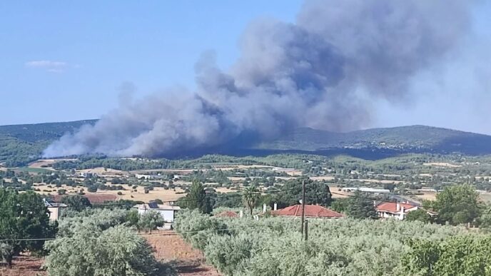 Μεγάλη πυρκαγιά σε αγροτοδασική έκταση στον Ωρωπό – Επιστρατεύτηκαν επίγειες και εναέριες δυνάμεις