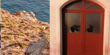 νεκρά πρόβατα Σέριφος