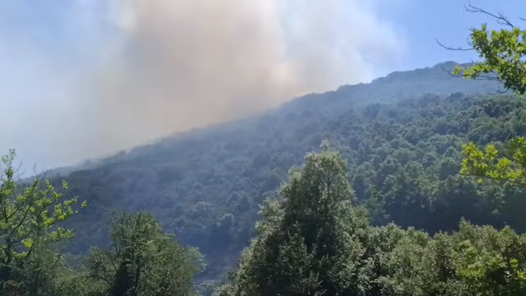 Αιτωλοακαρνανία: Φωτιά σε δασική έκταση 5 Αιτωλοακαρνανία: Φωτιά σε δασική έκταση