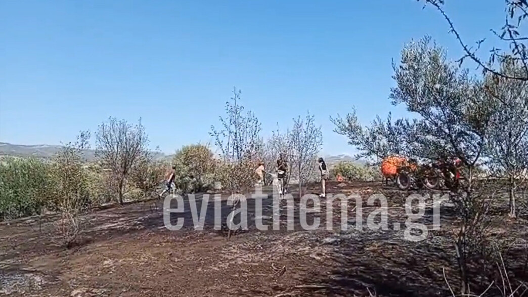 Φωτιά Λευκαντί