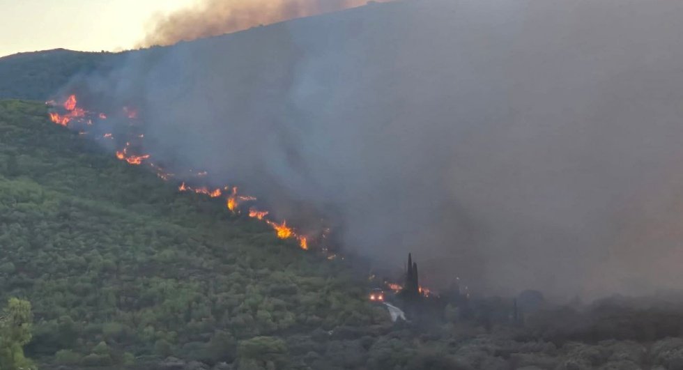Εικόνα από τη φωτιά στη Ζάκυνθο.