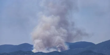 Φωτιά Πετράλωνα Μεσσηνίας