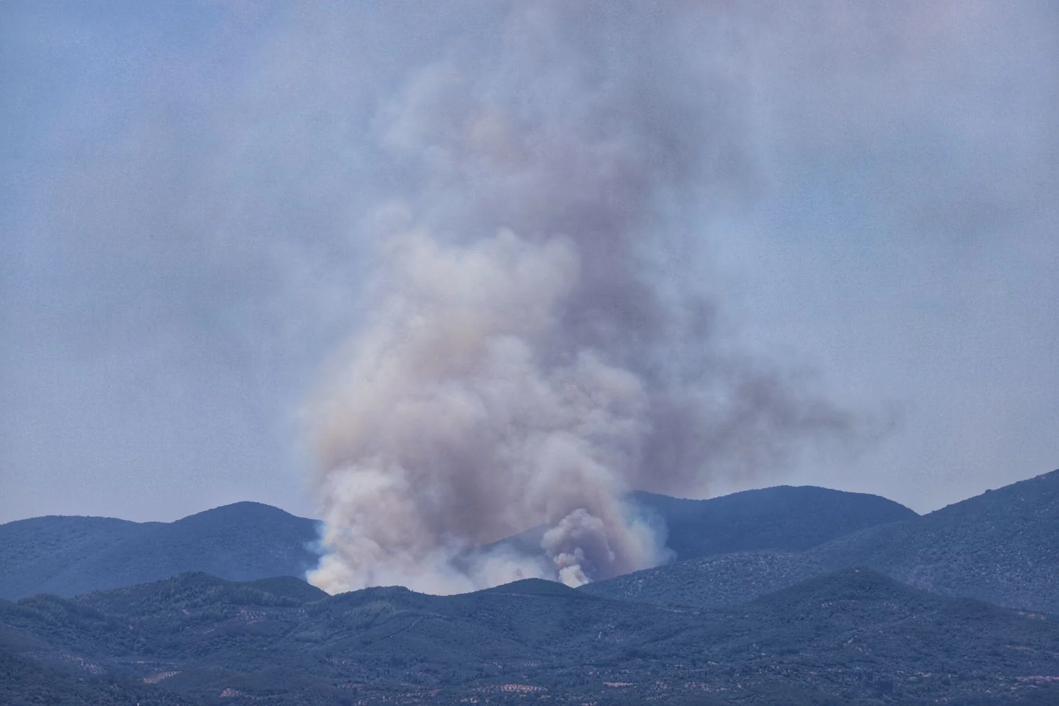 Φωτιά Πετράλωνα Μεσσηνίας