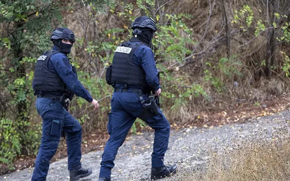 Αστυνομία δάσος