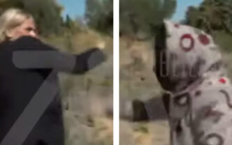 Βοιωτία: «Στο στόμα μου δεν θα το ξαναβάλεις, άκουσες;» - Η στιγμή της επίθεσης της 62χρονης σε δημοσιογράφο