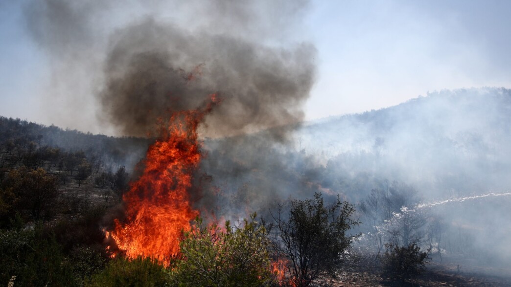 Μαρκόπουλο: Σύλληψη 67χρονου ιερέα για εμπρησμό σε δασική έκταση – Τον «πρόδωσαν» οι κάμερες