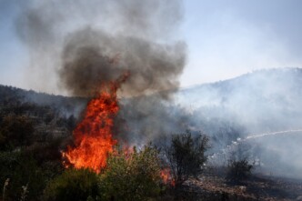 Μαρκόπουλο: Σύλληψη 67χρονου ιερέα για εμπρησμό σε δασική έκταση – Τον «πρόδωσαν» οι κάμερες