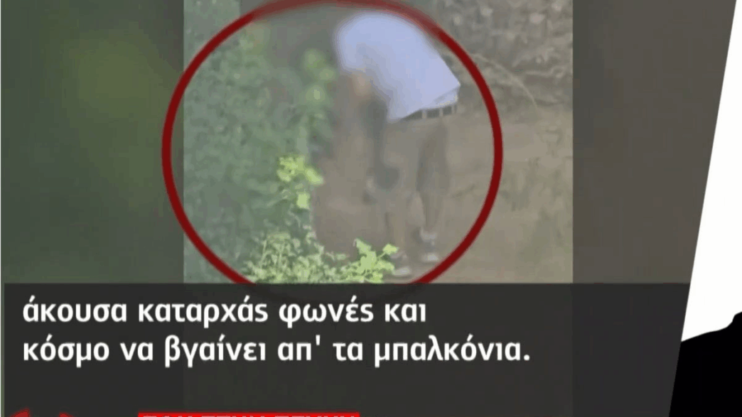 Πεύκη σκυλιά σκοτώνουν γάτες