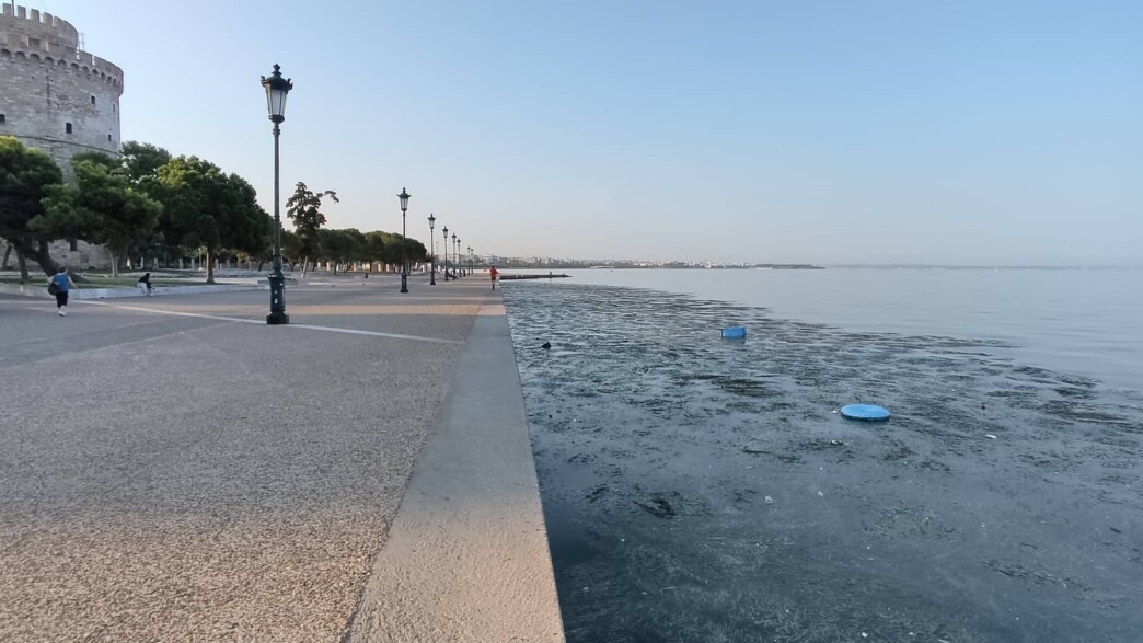 Θερμαϊκός σορός Θεσσαλονίκη