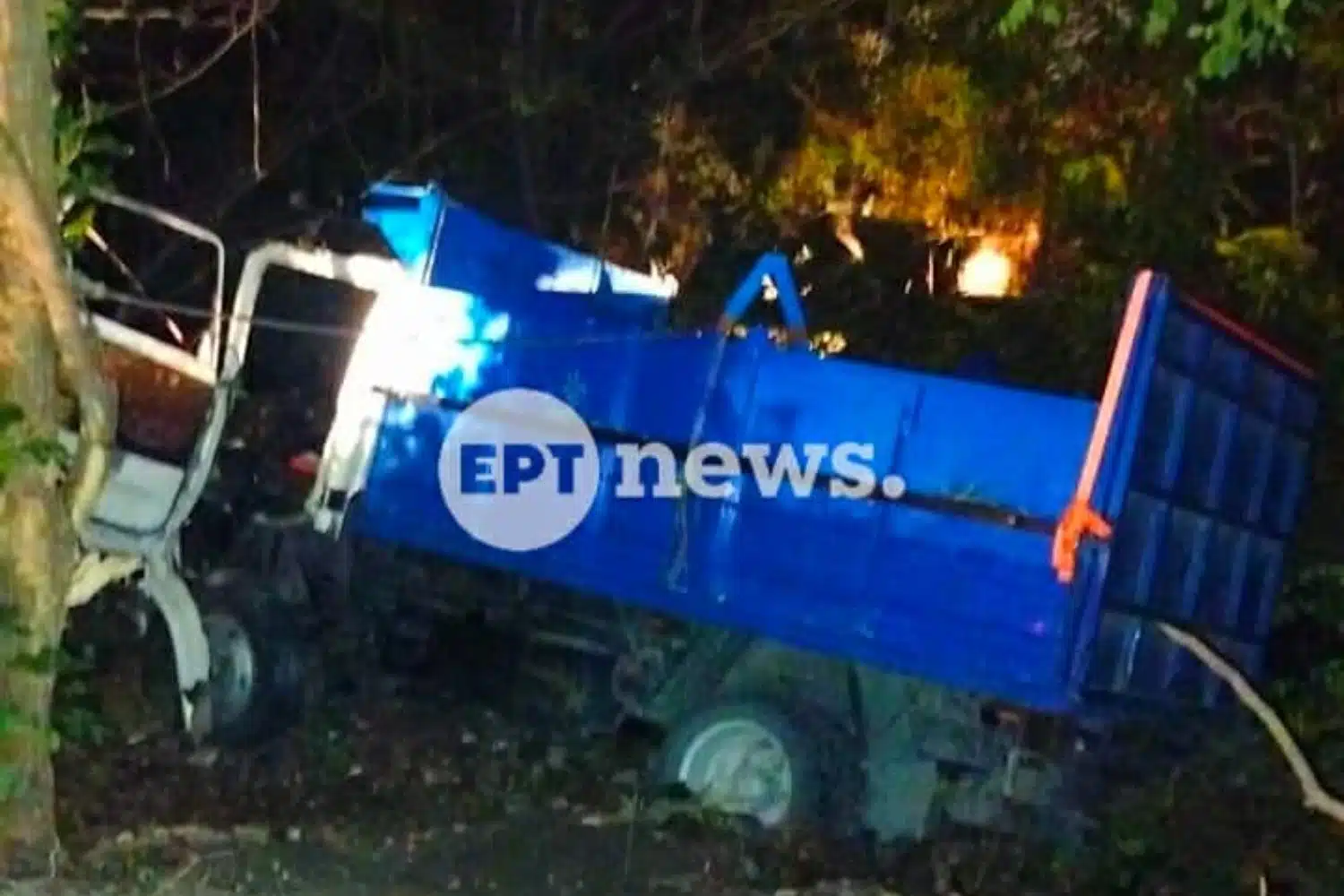 Φορτηγό έπεσε σε χαντάκι μετά από σύγκρουση με αγελάδα στην Καστοριά – Τραυματίας ο οδηγός
