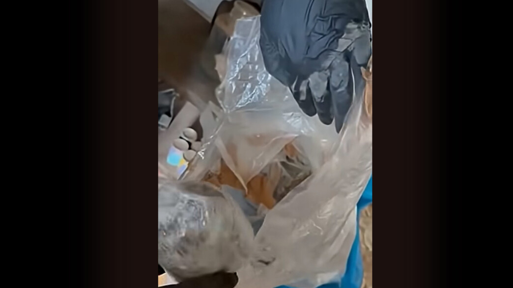 47χρονος στη Νέα Μάκρη έκρυβε κοκαΐνη και κάνναβη σε κρυψώνα μέσα στο κοτέτσι του