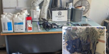 Πειραιάς: Εντοπίστηκε πλήρως εξοπλισμένο «εργαστήριο» κάνναβης – Δύο συλλήψεις από τη Δίωξη Ναρκωτικών
