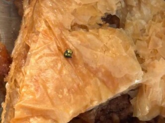 Σοκ στα Τρίκαλα: Παιδί βρήκε κεφάλι σφήκας μέσα στο γλυκό που του αγόρασε η γιαγιά του