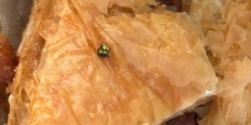 Σοκ στα Τρίκαλα: Παιδί βρήκε κεφάλι σφήκας μέσα στο γλυκό που του αγόρασε η γιαγιά του