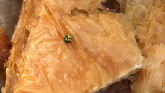 Σοκ στα Τρίκαλα: Παιδί βρήκε κεφάλι σφήκας μέσα στο γλυκό που του αγόρασε η γιαγιά του