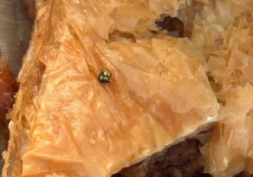 Σοκ στα Τρίκαλα: Παιδί βρήκε κεφάλι σφήκας μέσα στο γλυκό που του αγόρασε η γιαγιά του