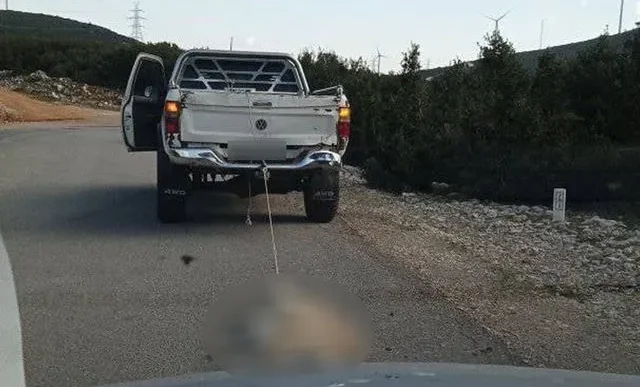 Ασύλληπτη φρίκη στη Βοιωτία: Οδηγός σέρνει σκύλο με αγροτικό – Εισαγγελική παρέμβαση!