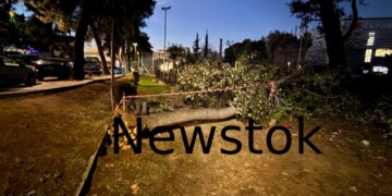 Χαϊδάρι: «Άγιο» είχαν τα παιδιά – Τεράστιο δέντρο έπεσε σε παιδική χαρά και λύγισε τα κάγκελα