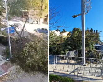 Θεσσαλονίκη: «Σαρώνουν» οι βοριάδες με ριπές 10 μποφόρ – Ζημιές και πτώσεις δέντρων