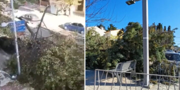 Θεσσαλονίκη: «Σαρώνουν» οι βοριάδες με ριπές 10 μποφόρ – Ζημιές και πτώσεις δέντρων
