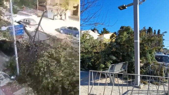 Θεσσαλονίκη: «Σαρώνουν» οι βοριάδες με ριπές 10 μποφόρ – Ζημιές και πτώσεις δέντρων