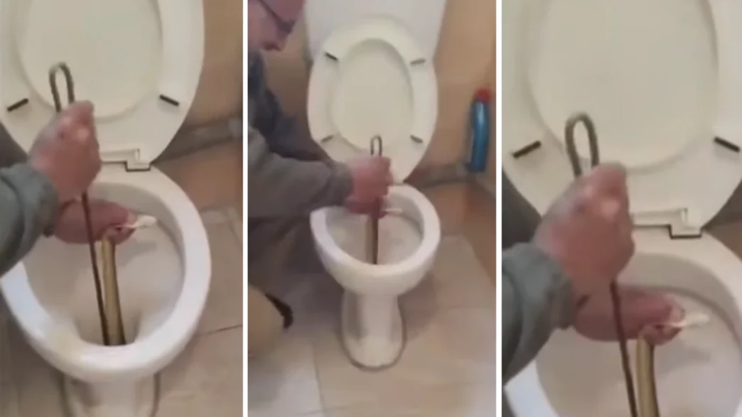 Καστοριά: Φίδι 2 μέτρα ζούσε σε λεκάνη τουαλέτας δύο εβδομάδες