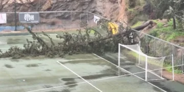 Δέντρα ξεριζώθηκαν σε γήπεδο ποδοσφαίρου στην Ηλιούπολη