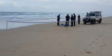 Τραγωδία στην Αυστραλία: Τα άγρια σκυλιά σκότωσαν την 19χρονη τουρίστρια;