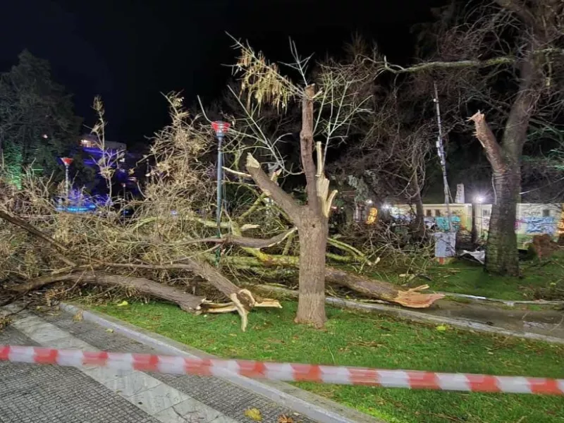 Αλεξανδρούπολη: Ριπές ανέμων 140 χλμ "σάρωσαν" την πόλη - Δείτε βίντεο - newstok.gr