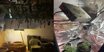 Ρόδος: «Εργοστάσιο» παραγωγής skunk σε σπίτια – Ο 61χρονος «εγκέφαλος» και τα υπερσύγχρονα εργαστήρια