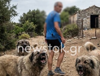 «Φώναζα και δεν με άκουγε κανείς»: Εφιάλτης στη Γορίτσα για 60χρονο που περικυκλώθηκε από αγέλη σκύλων