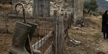 Τραγωδία στην Πιερία: Αυτοκτόνησε κτηνοτρόφος που είδε το κοπάδι του να θανατώνεται λόγω ευλογιάς – «Καταστρέφονται οικογένειες»