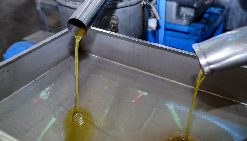 Απάτη-μαμούθ με νοθευμένο ελαιόλαδο: Έτσι «βάφτιζαν» το ηλιέλαιο στην Ημαθία και το έστελναν Γερμανία