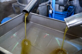 Απάτη-μαμούθ με νοθευμένο ελαιόλαδο: Έτσι «βάφτιζαν» το ηλιέλαιο στην Ημαθία και το έστελναν Γερμανία