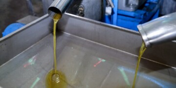 Απάτη-μαμούθ με νοθευμένο ελαιόλαδο: Έτσι «βάφτιζαν» το ηλιέλαιο στην Ημαθία και το έστελναν Γερμανία