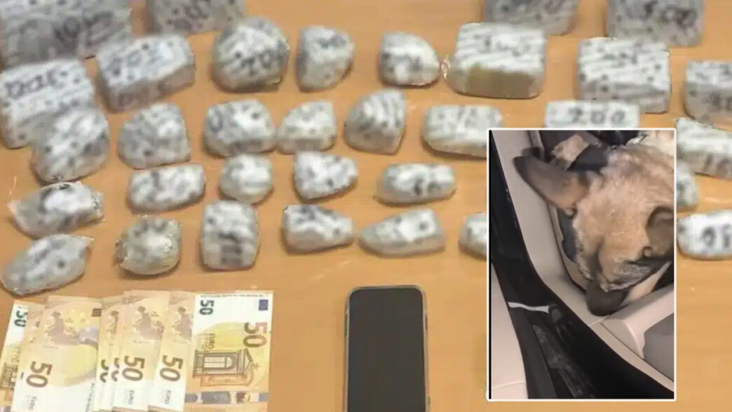 Η «Roxy» μύρισε την κρύπτη στο πάτωμα: Μεγάλη επιχείρηση στις Σέρρες με 6 κιλά ηρωίνης