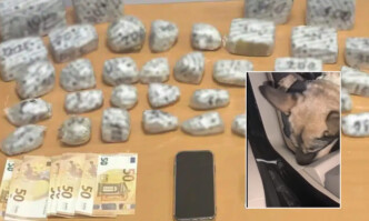 Η «Roxy» μύρισε την κρύπτη στο πάτωμα: Μεγάλη επιχείρηση στις Σέρρες με 6 κιλά ηρωίνης