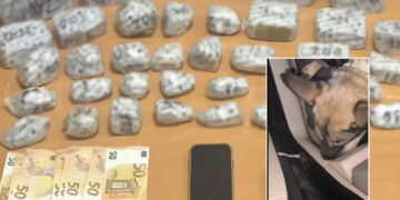 Η «Roxy» μύρισε την κρύπτη στο πάτωμα: Μεγάλη επιχείρηση στις Σέρρες με 6 κιλά ηρωίνης