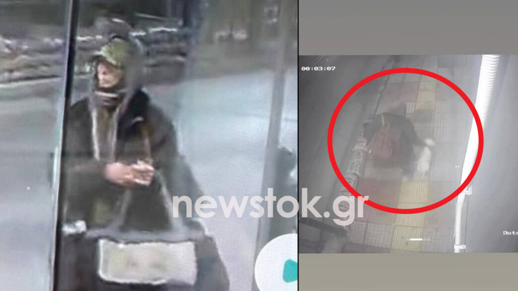 Περιστέρι: Το βίντεο-ντοκουμέντο με την αρπαγή ενός σκύλου – Ποια είναι η γυναίκα που αναζητείται;