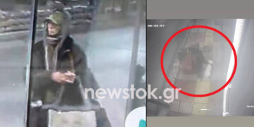 Περιστέρι: Το βίντεο-ντοκουμέντο με την αρπαγή ενός σκύλου – Ποια είναι η γυναίκα που αναζητείται;