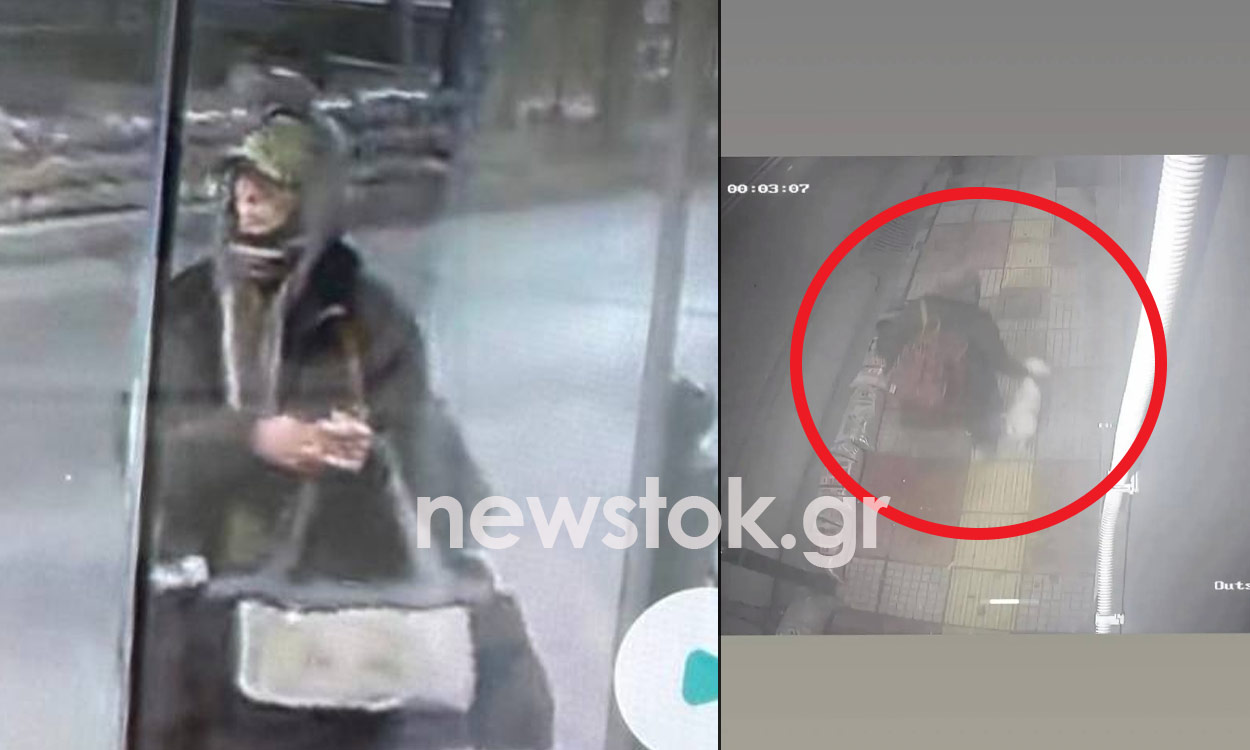 Περιστέρι: Το βίντεο-ντοκουμέντο με την αρπαγή ενός σκύλου – Ποια είναι η γυναίκα που αναζητείται;