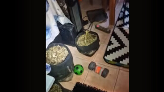 Σοκ στην Αθήνα: Οδηγός σχολικού συνελήφθη να κάνει χρήση ναρκωτικών πριν το δρομολόγιο