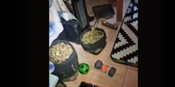 Σοκ στην Αθήνα: Οδηγός σχολικού συνελήφθη να κάνει χρήση ναρκωτικών πριν το δρομολόγιο