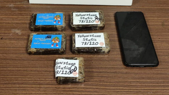 Πανεπιστημιούπολη Ζωγράφου: «Χειροπέδες» σε 31χρονη για διακίνηση ναρκωτικών – Πώς την «ξεσκέπασε» η ΕΛ.ΑΣ.